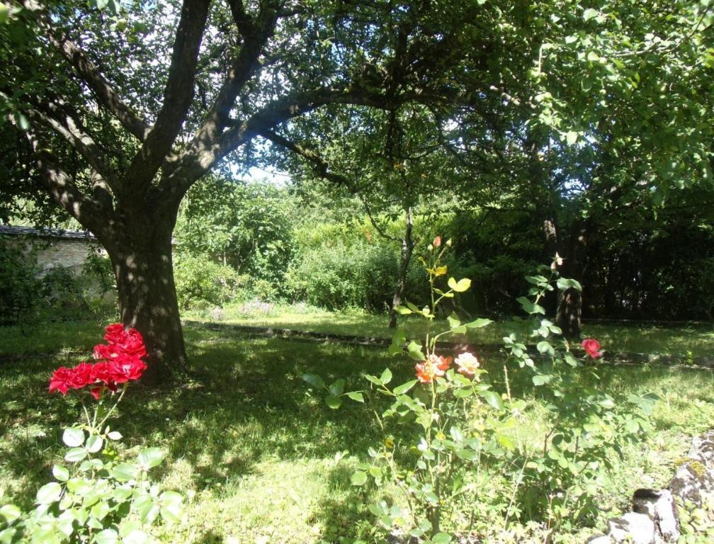 Le Grand Jardin Bed and Breakfast Beaune  Exterior foto