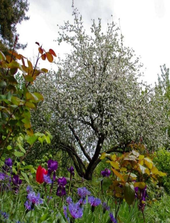 Le Grand Jardin Bed and Breakfast Beaune  Exterior foto